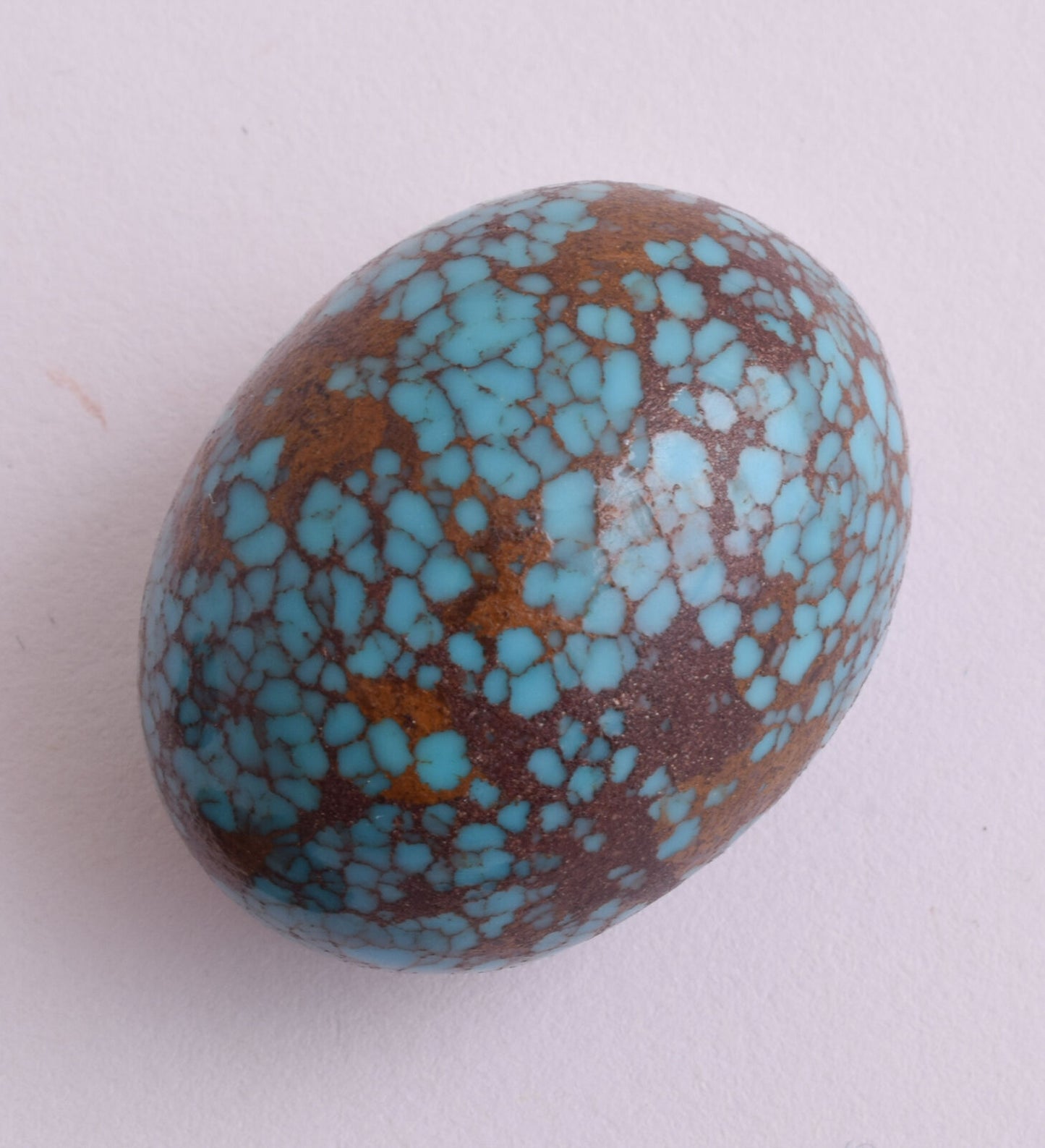 Egyptian Turquoise spiderweb Cabochon/  5 Cab cabochon stone- 410 Carats-Lot