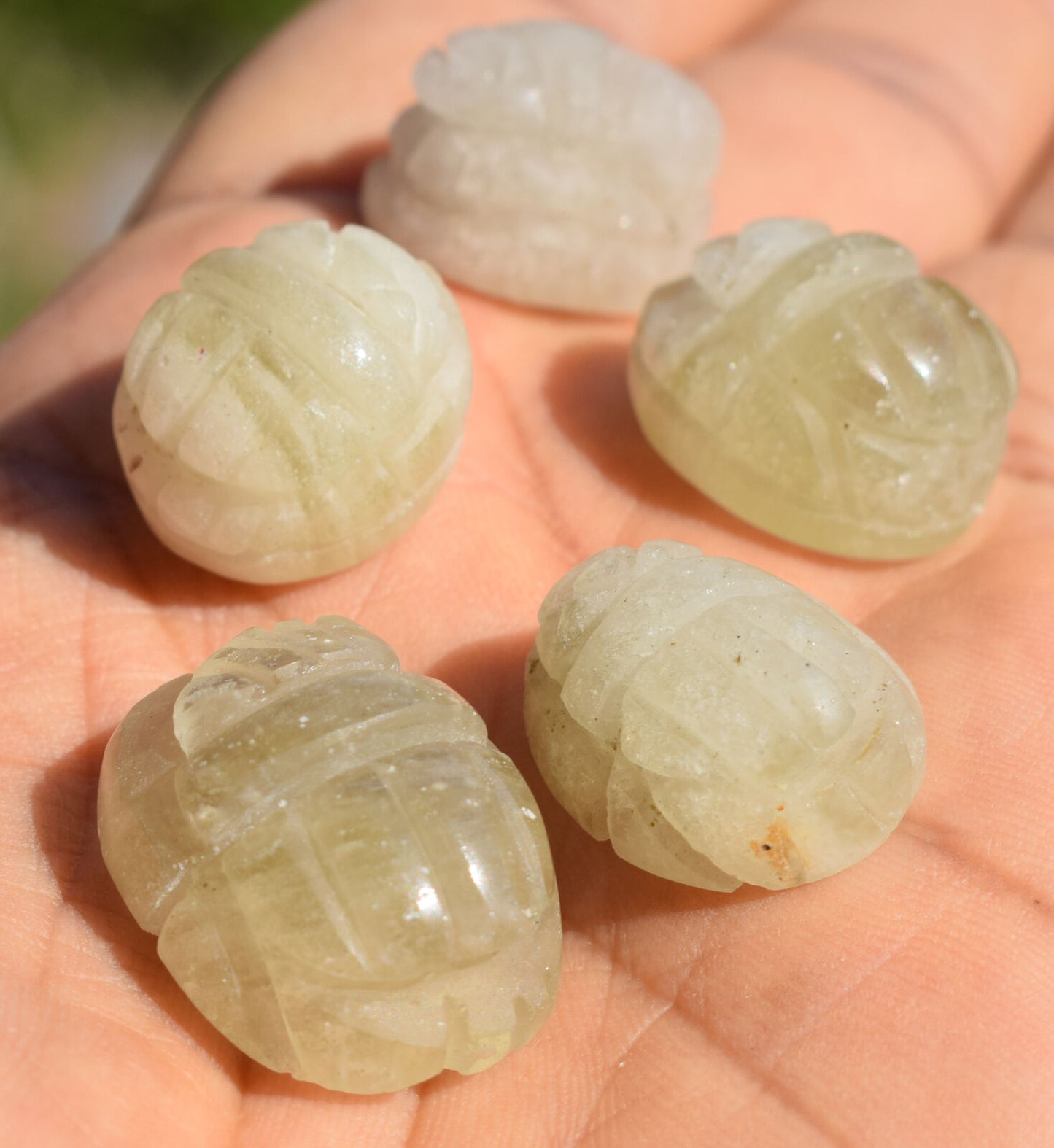 5 Libyan Desert Glass, Egyptian Scarab,Scarab Beetle, asteroids Impact,160 Carat