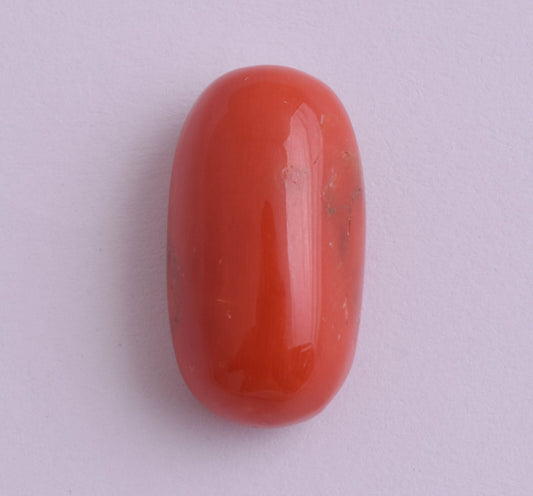 Red Coral Cabochon Cab-Natural-untreated Italian Red coral -23 Carats- 23X12mm