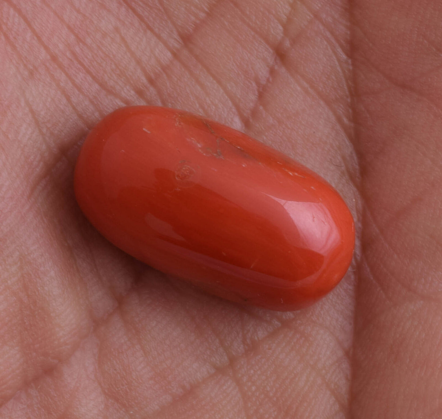 Red Coral Cabochon Cab-Natural-untreated Italian Red coral -23 Carats- 23X12mm