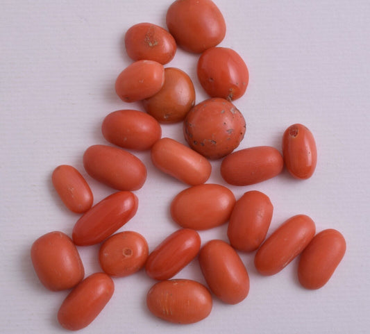 Vintage Red Coral Cabochon-Natural-23 Pcs untreated Yemeni Red Coral-50 Carats