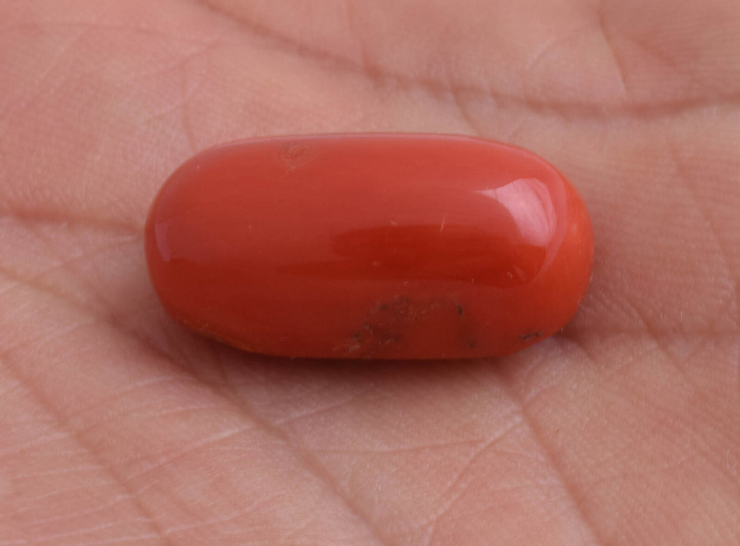 Red Coral Cabochon Cab-Natural-untreated Italian Red coral -23 Carats- 23X12mm