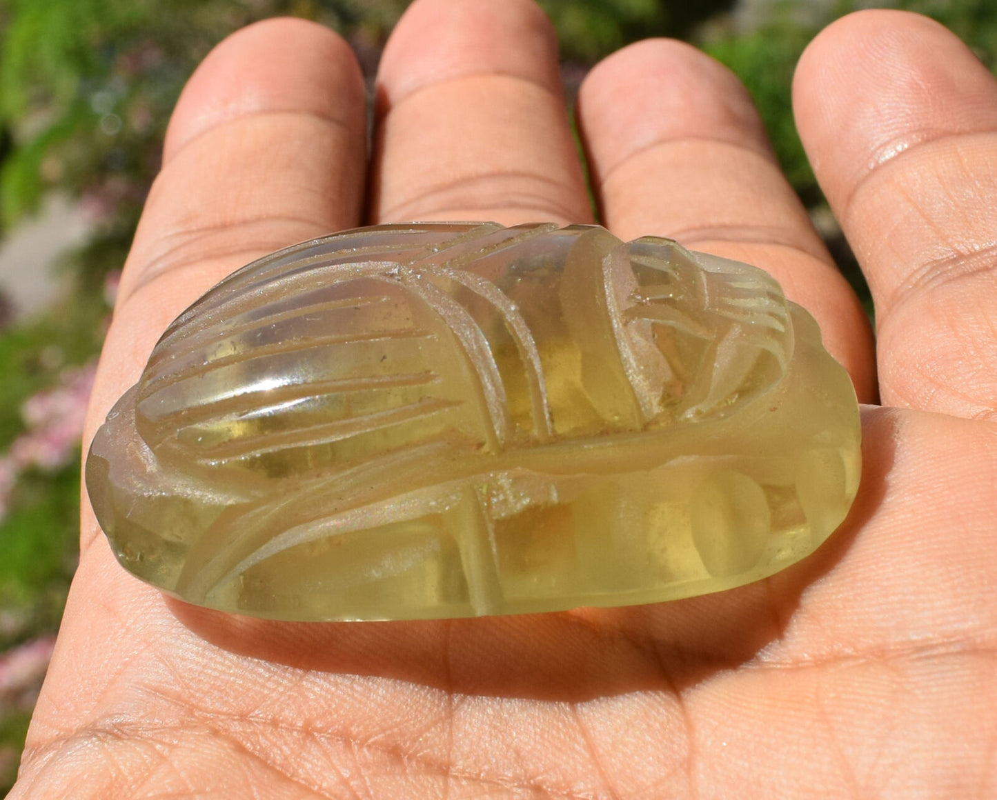 Libyan Desert Glass, Egyptian Scarab, Scarab Beetle, asteroids Impact, 240 Carat