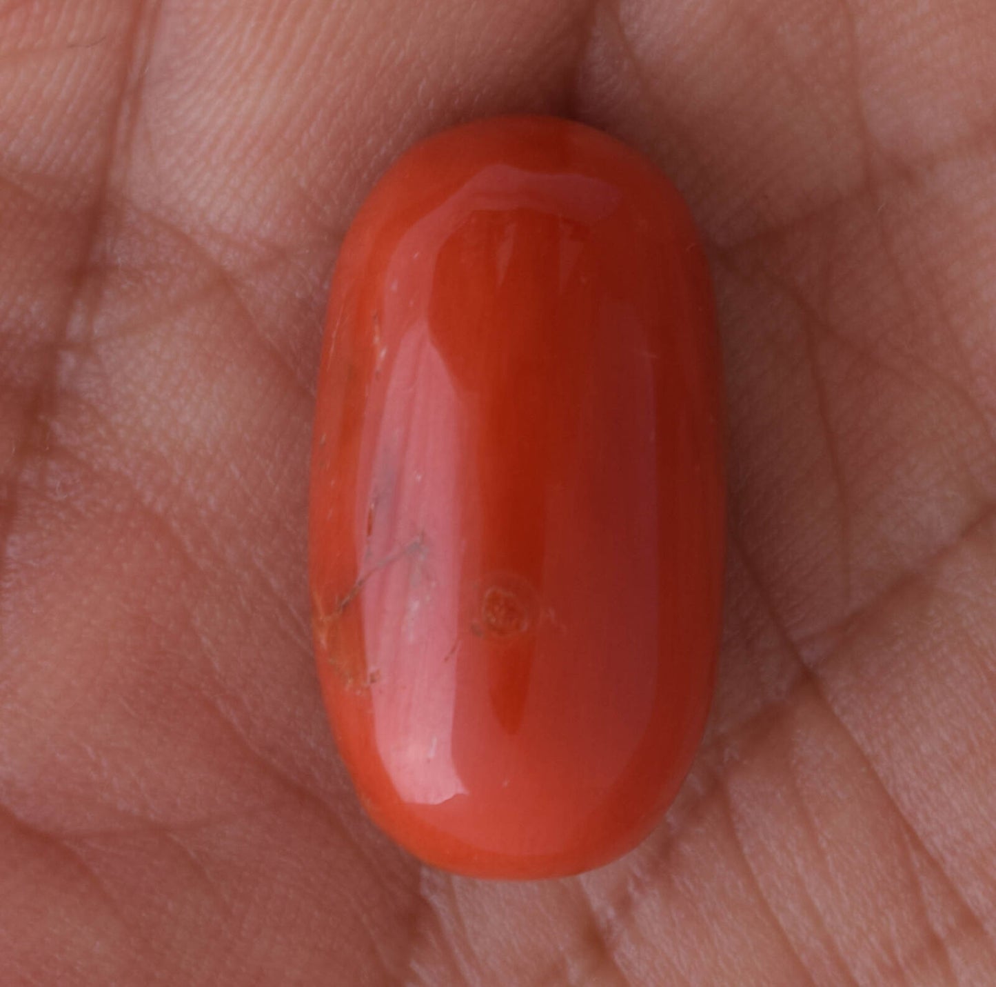 Red Coral Cabochon Cab-Natural-untreated Italian Red coral -23 Carats- 23X12mm