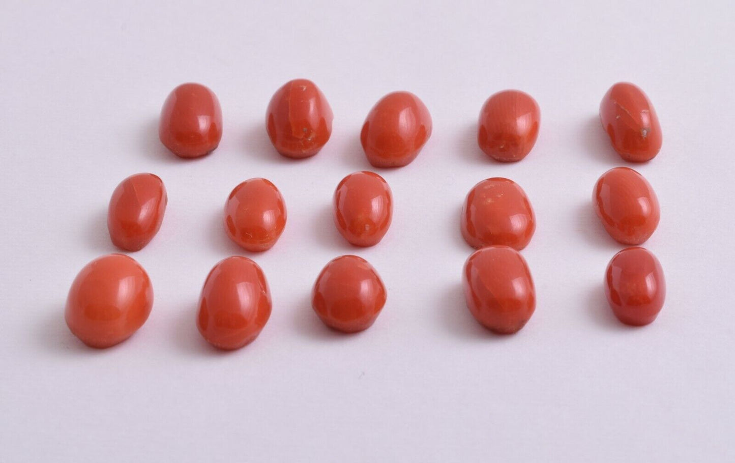 Natural Red Coral Cabochon Cab-15Pcs untreated Mediterranean Red Coral-53 Carats