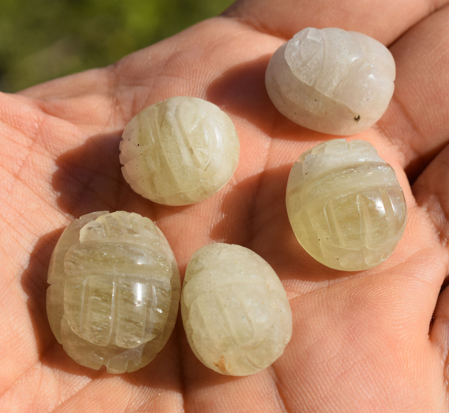 5 Libyan Desert Glass, Egyptian Scarab,Scarab Beetle, asteroids Impact,160 Carat