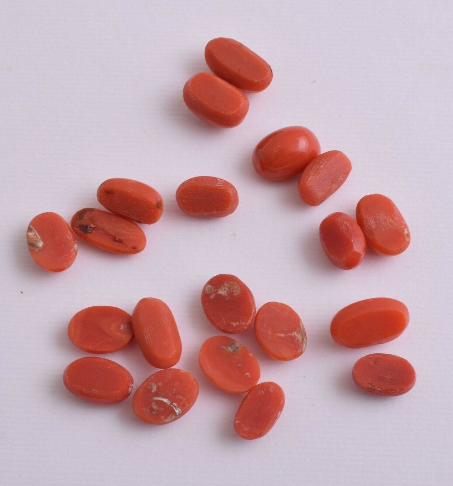 Natural Red Coral Cabochon Cab-20 Pcs untreated Italian Red Coral Gem-47 Carats