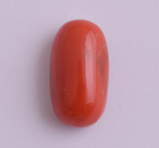 Natural Red Coral Cabochon Cab-untreated Italian Red coral -23 Carats- 23X12mm
