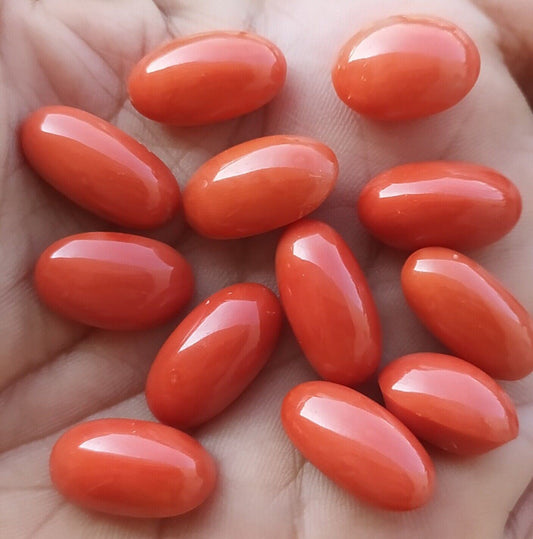12 Natural Red Salmon Coral Cabochon Cab-untreated Italian Red coral -161 Carats