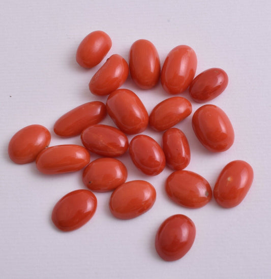 Natural Red Coral Cabochon Cab-20 Pcs untreated Italian Red Coral Gem-47 Carats